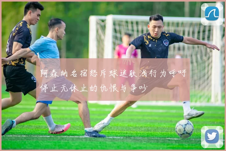 阿森纳名宿怒斥球迷肤浅行为呼吁停止无休止的仇恨与争吵
